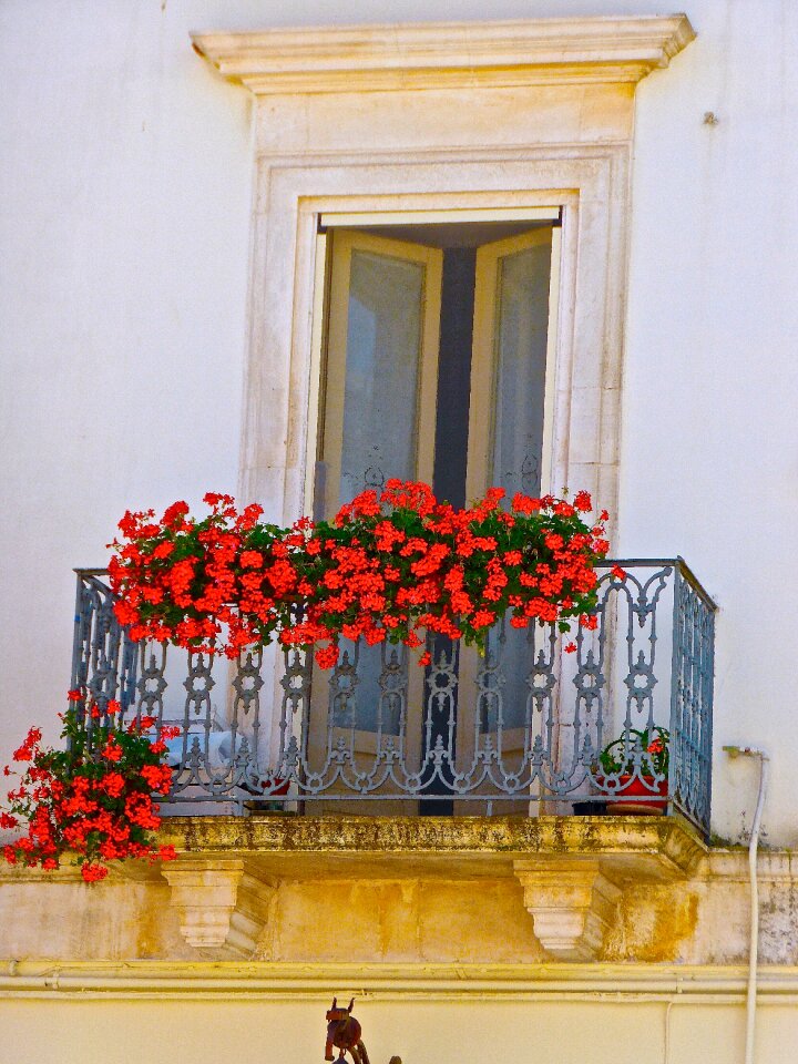 Floral decoration blossom