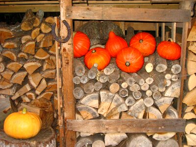 Horseshoe wood pile pumpkin