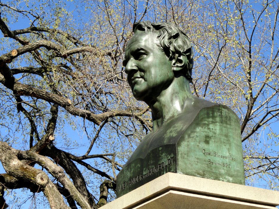 New york explorer bust