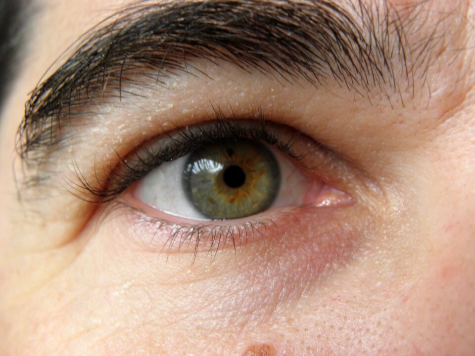 Eyebrow face look