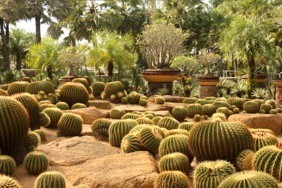 Park heat thailand