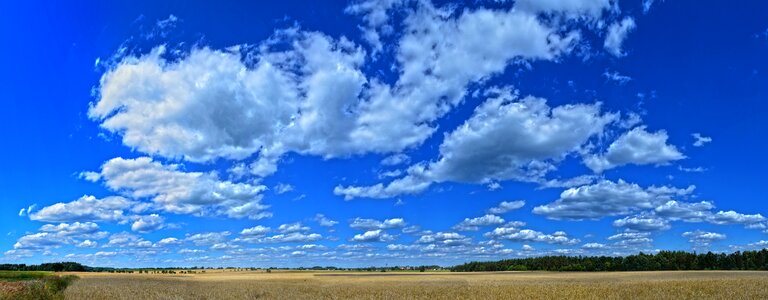 Blue landscape field