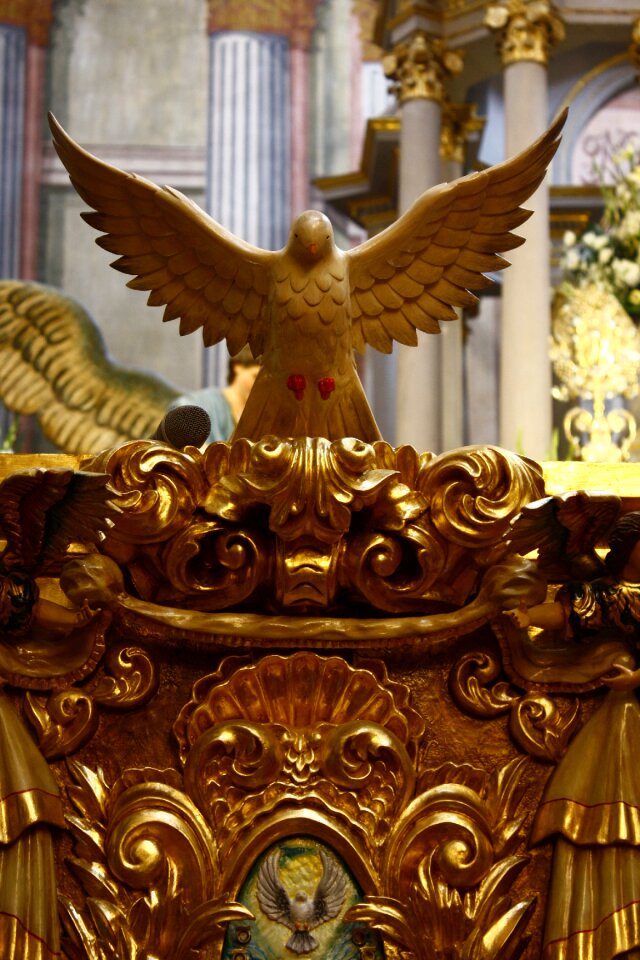 Fly gold temple