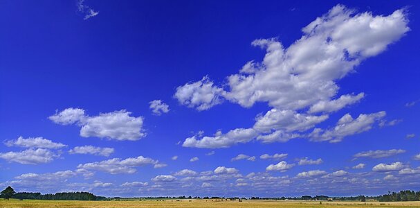 Blue landscape field