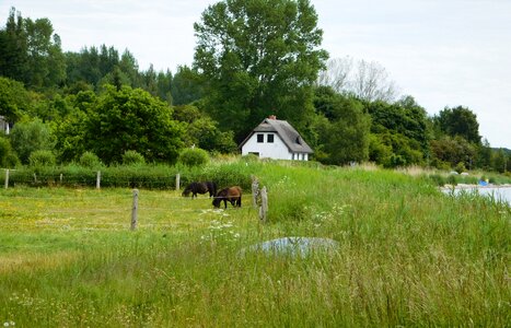 Putbus bodden freetz