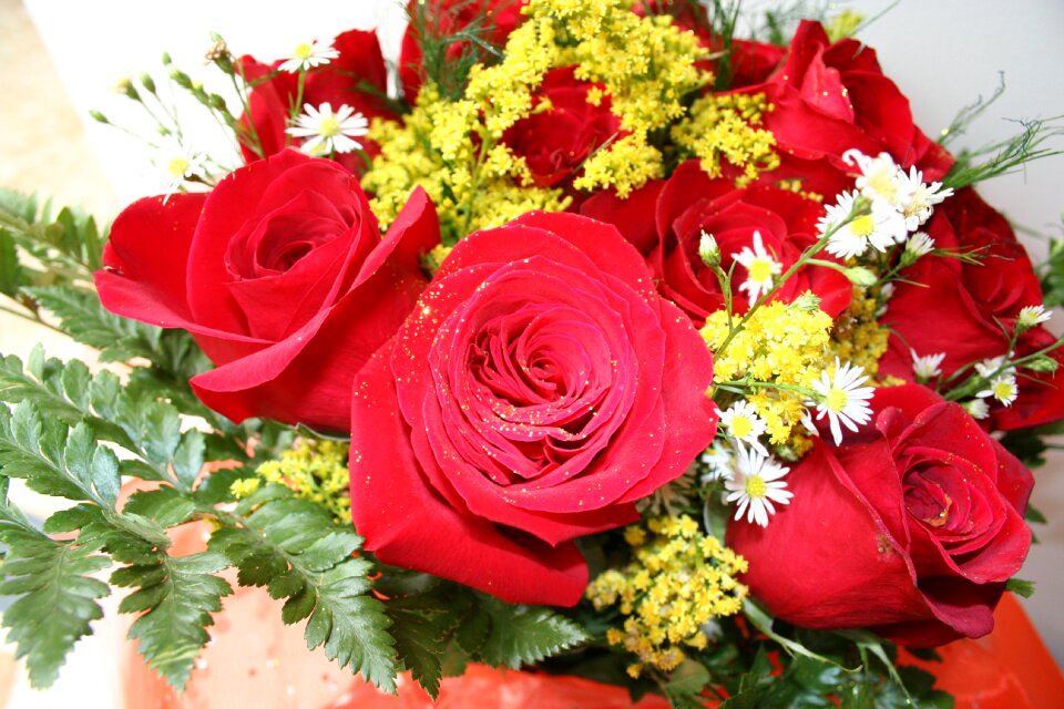 Decoration flower nature