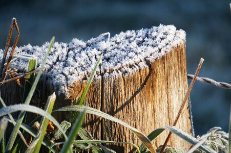 Winter hoarfrost nature