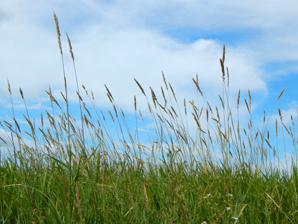 Saskatchewan canada landscape