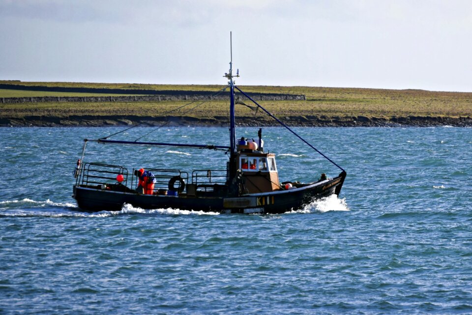 Industry fish creel