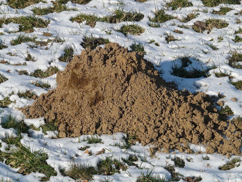 Erdhaufen dig scoop