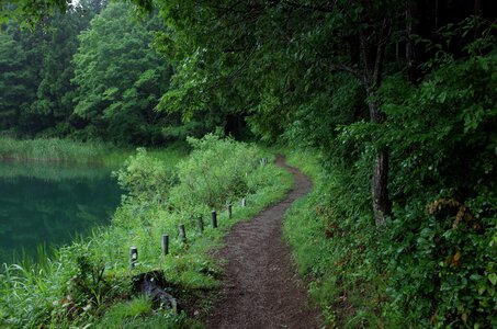 Lane lake natural