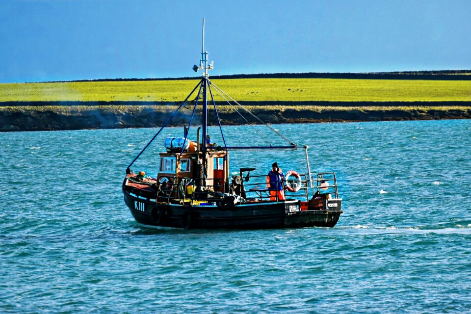 Industry fish creel