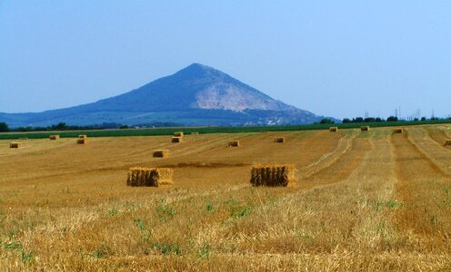 Straw cubes harvested wheat field agriculture photo