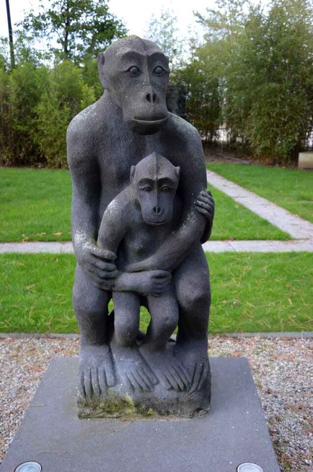 Art stone ape