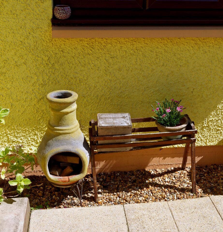 Plant outdoors decor