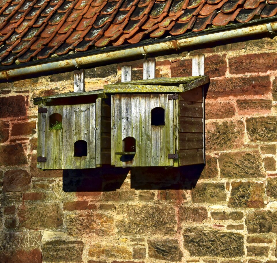 Box nest nature photo