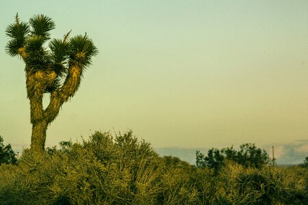 California landscape dry