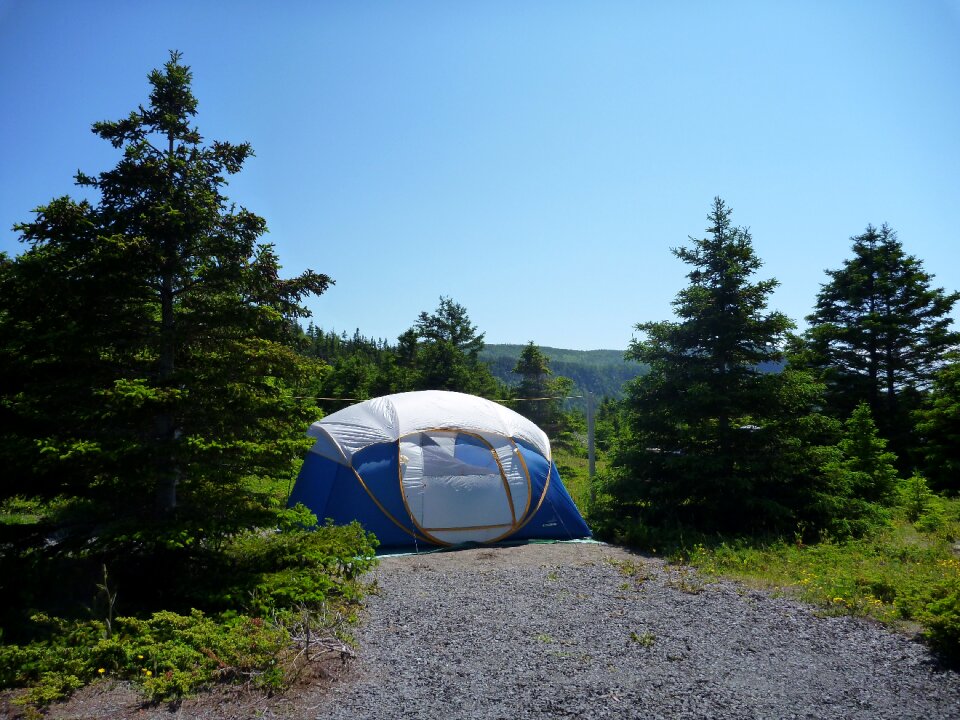 Québec gaspésie trees