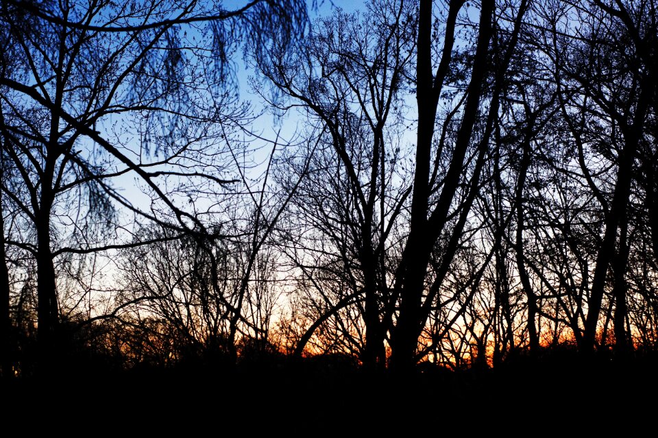Nature sky silhouette