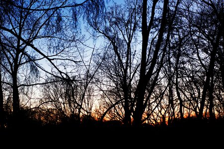 Nature sky silhouette