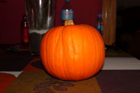 Pumpkin witch
