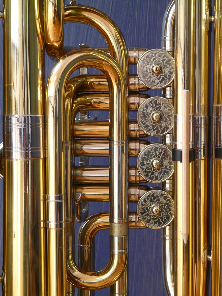 Stimmzug brass instrument instrument