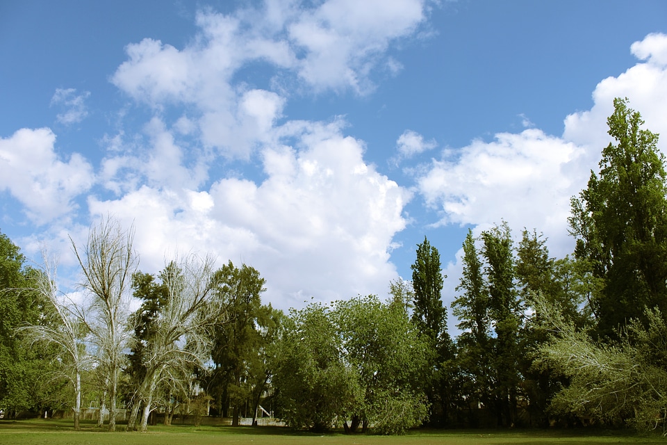Cloud blue clouds
