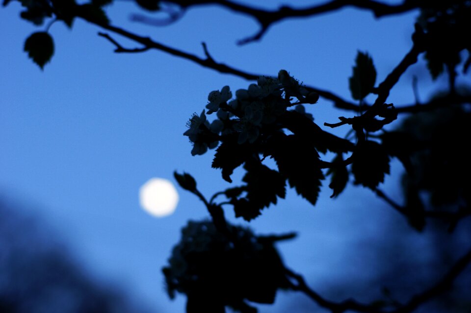 Sky nature dark
