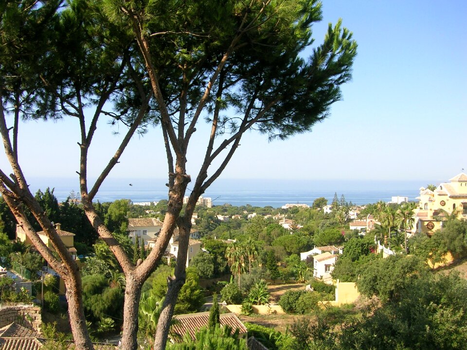 Landscape houses Free photos