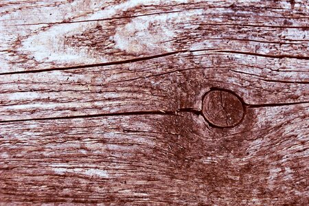Knothole grain board