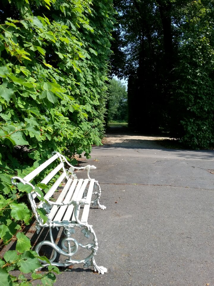 Park only loneliness