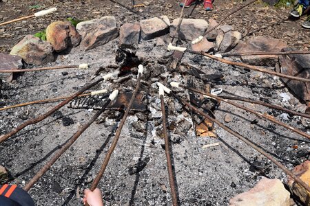 Floor sticks stick bread