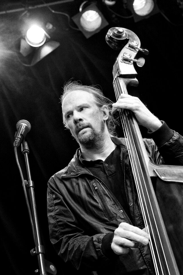 Bass musician concert