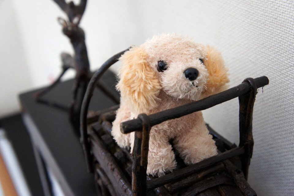 Artistic conception pet toys