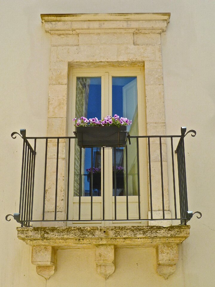 Flowerpot floral view