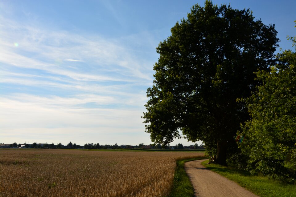 Path summer sky