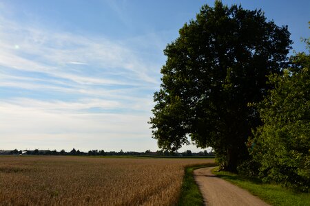Path summer sky