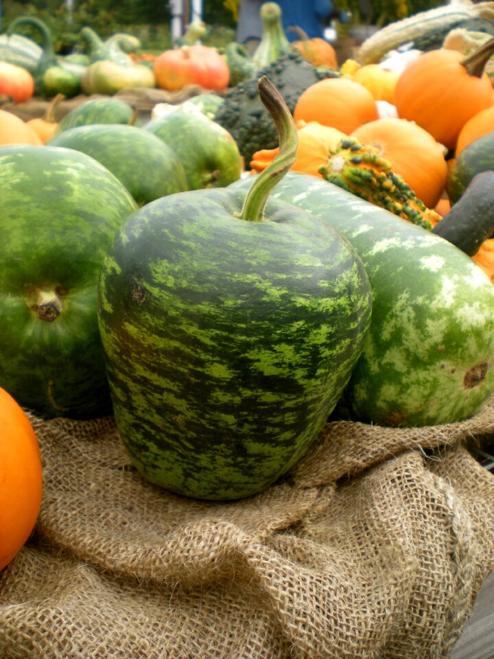 Healthy fresh nutrition
