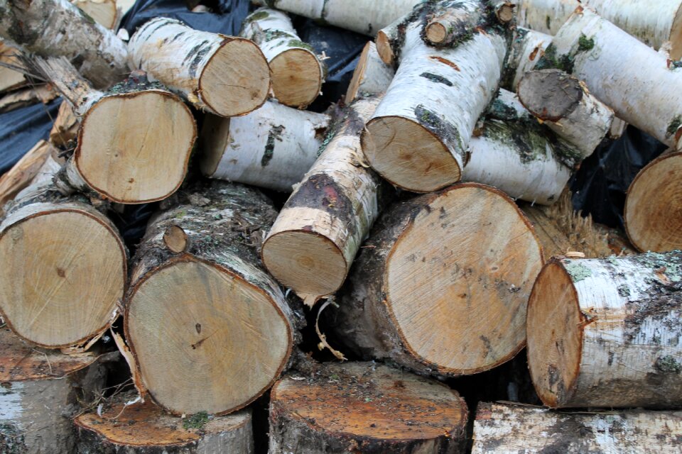 Natural wooden hardwood