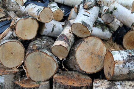 Natural wooden hardwood