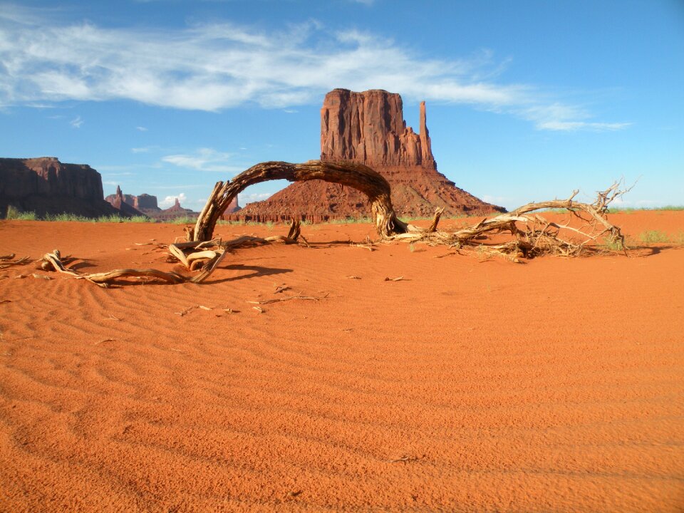 Monument valley desert trunk
