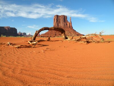 Monument valley desert trunk
