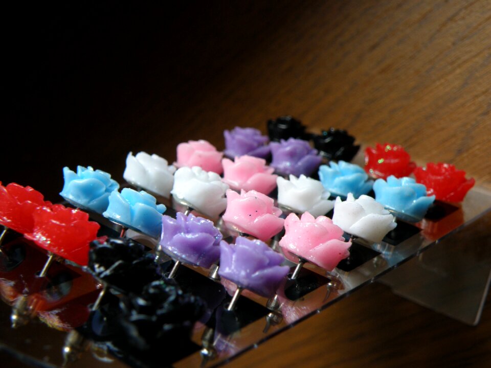 Rose plato jewelry