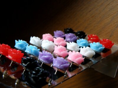 Rose plato jewelry