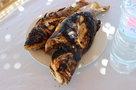 Grilled seafood delicious
