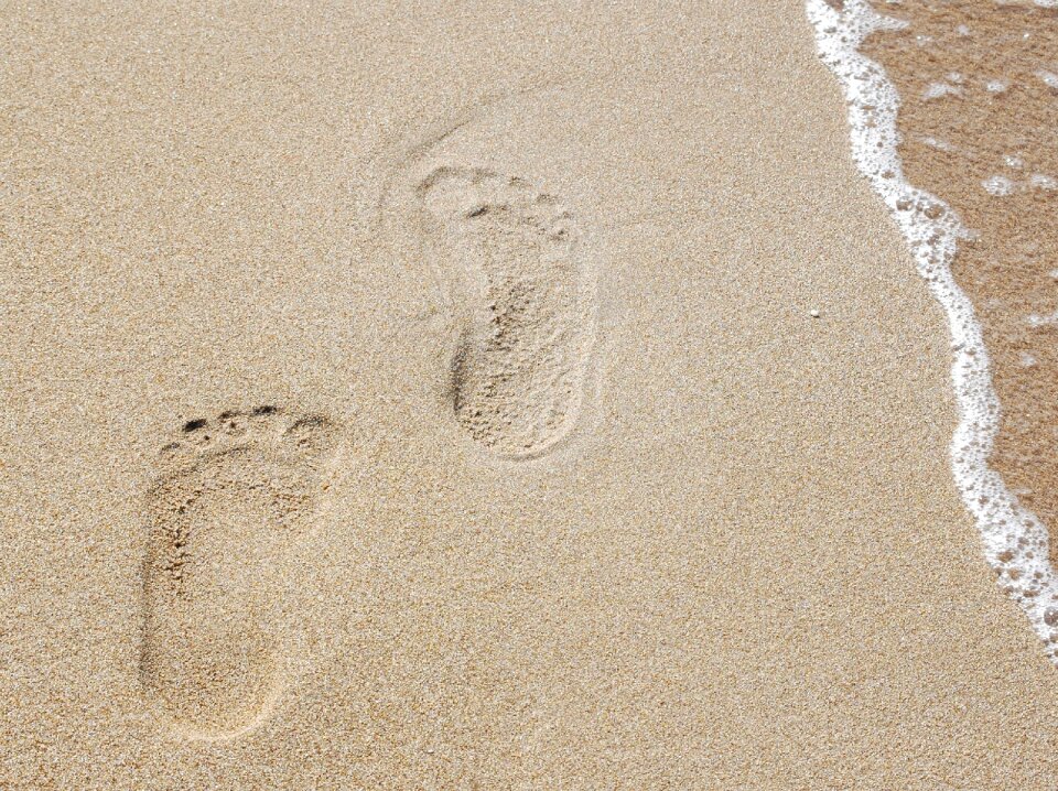 Trace beach tracks in the sand