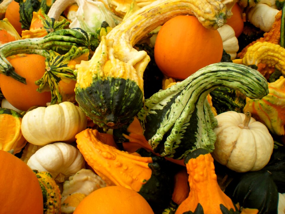 Healthy fresh pumpkin