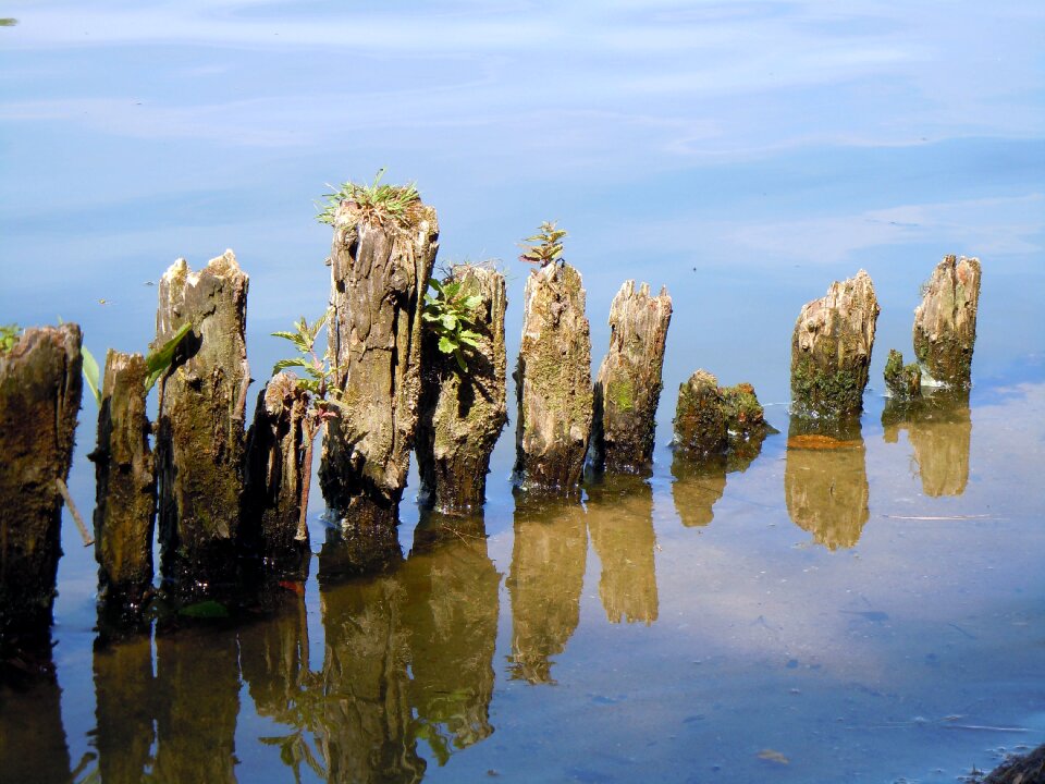 Water piles nature