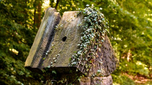Portal overgrown building