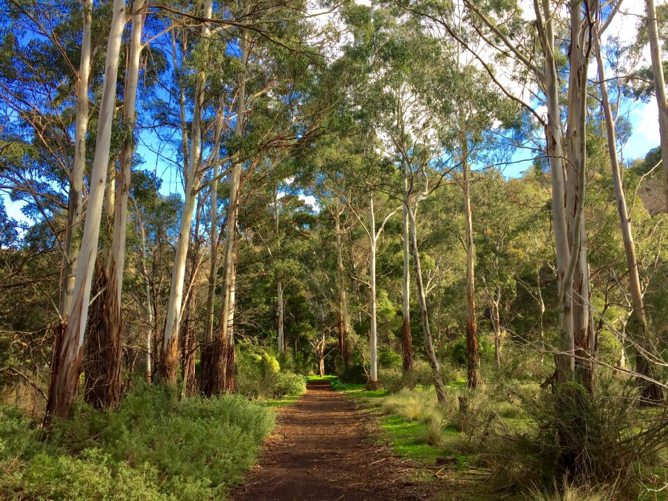 Australia landscape wilderness